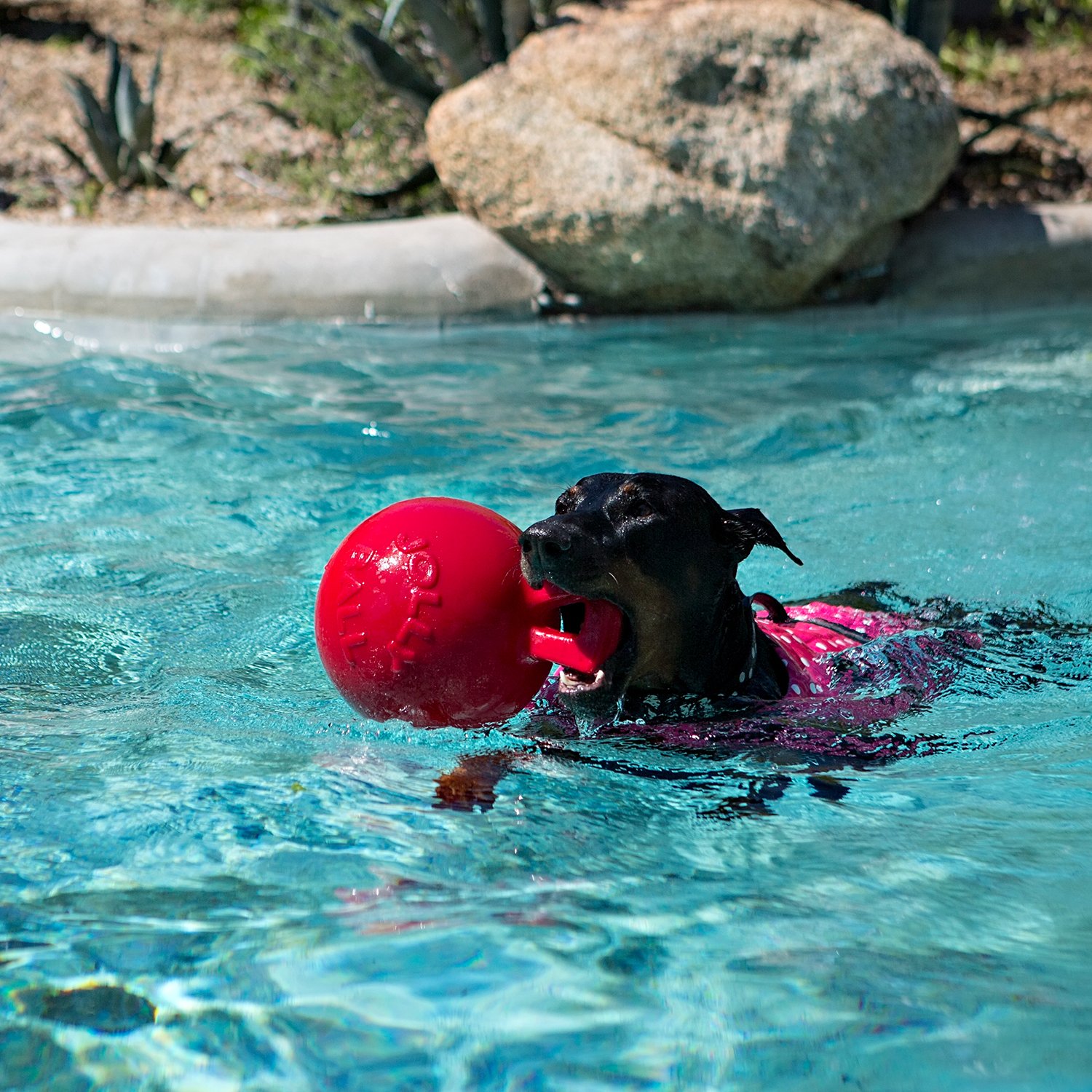 Описание Jolly Pets Tug-n-Toss - фото 4